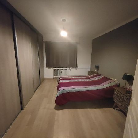 Tres Grand Appartement De 76M2 A שטרסבורג מראה חיצוני תמונה