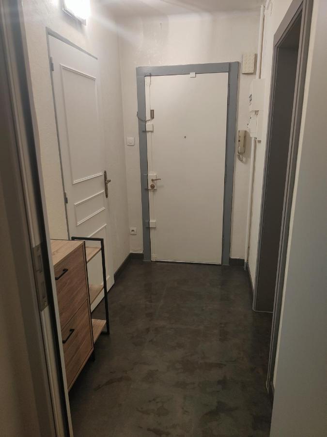 Tres Grand Appartement De 76M2 A שטרסבורג מראה חיצוני תמונה