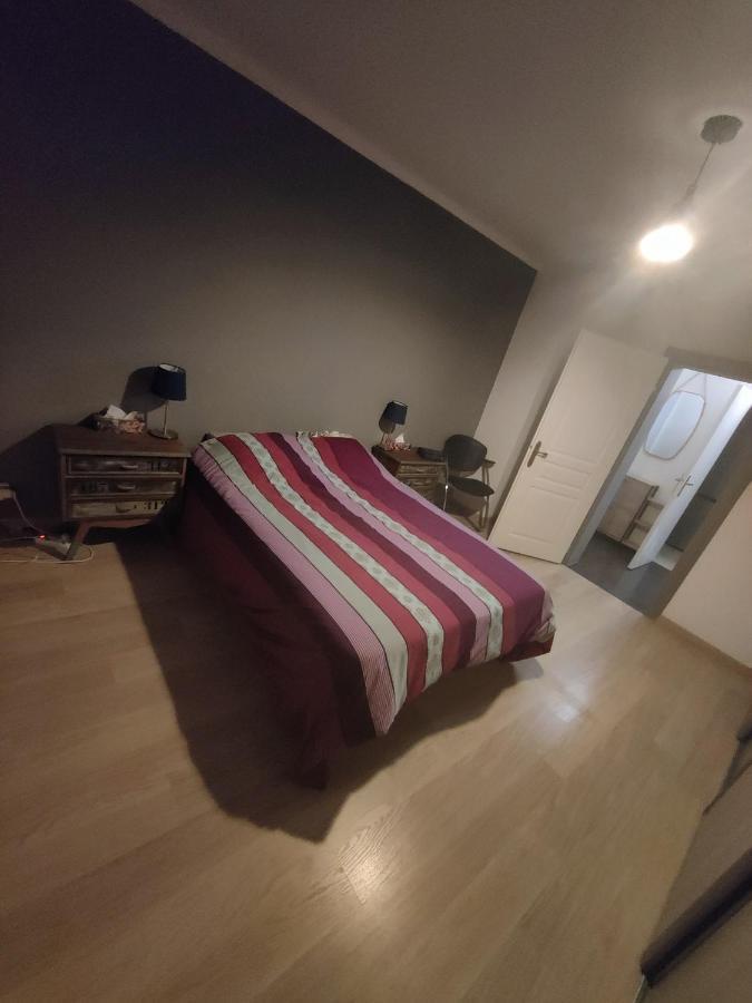 Tres Grand Appartement De 76M2 A שטרסבורג מראה חיצוני תמונה