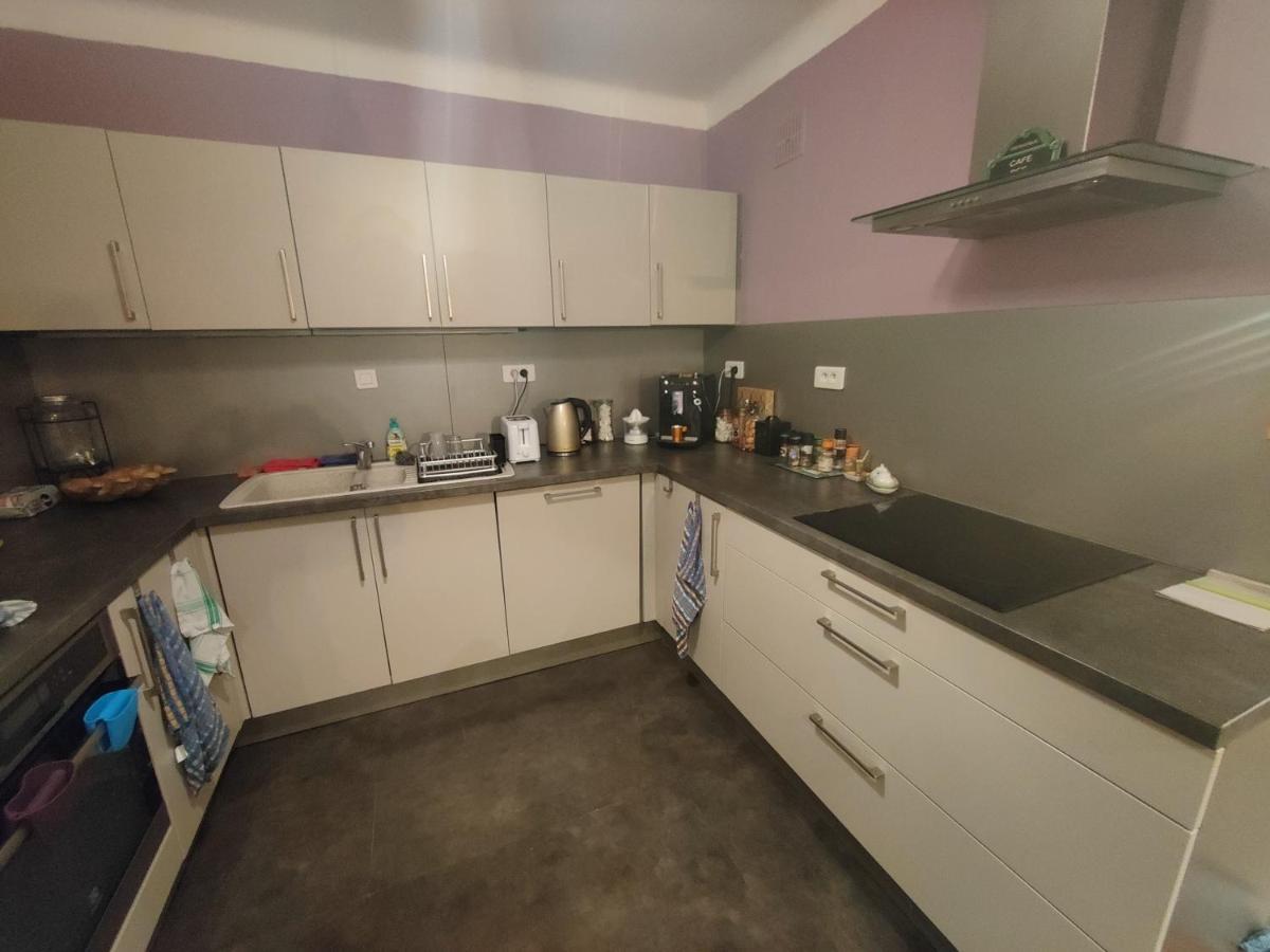 Tres Grand Appartement De 76M2 A שטרסבורג מראה חיצוני תמונה