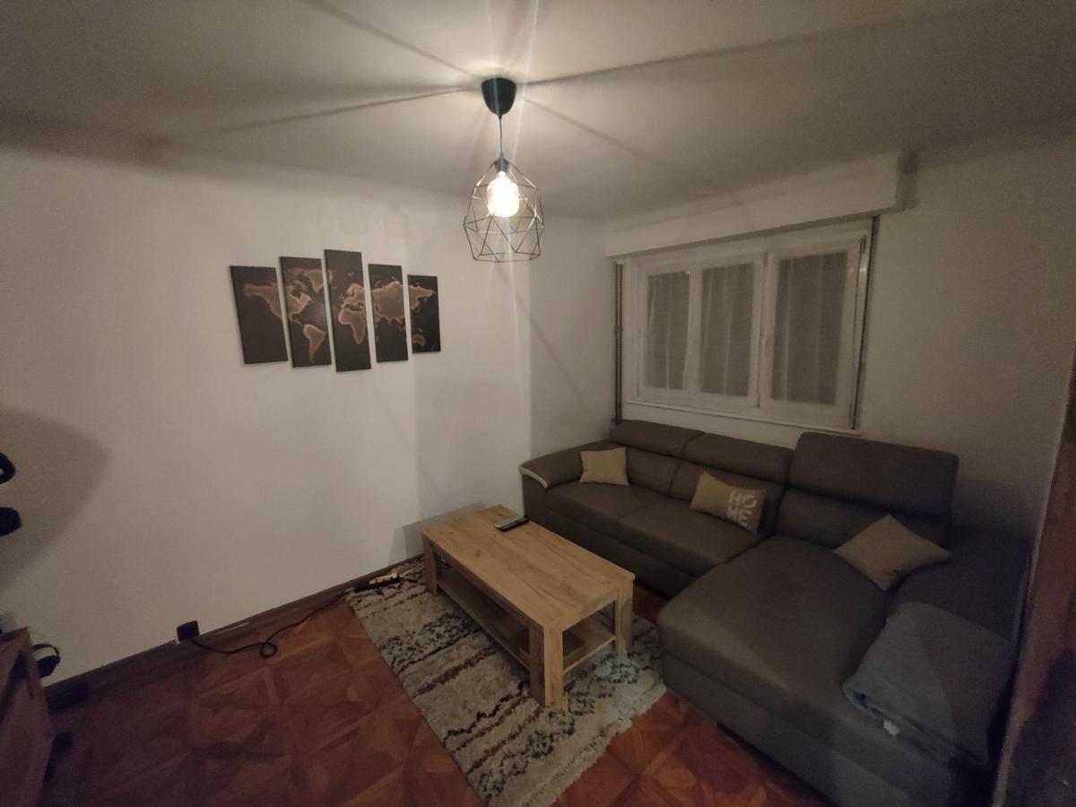 Tres Grand Appartement De 76M2 A שטרסבורג מראה חיצוני תמונה